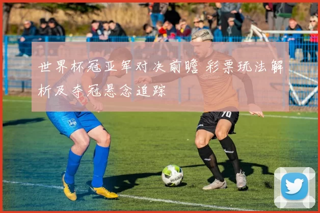 世界杯冠亚军对决前瞻 彩票玩法解析及夺冠悬念追踪