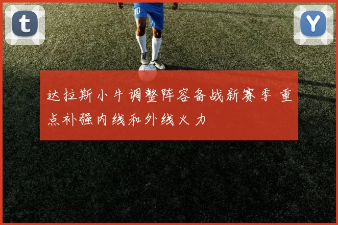 达拉斯小牛调整阵容备战新赛季 重点补强内线和外线火力