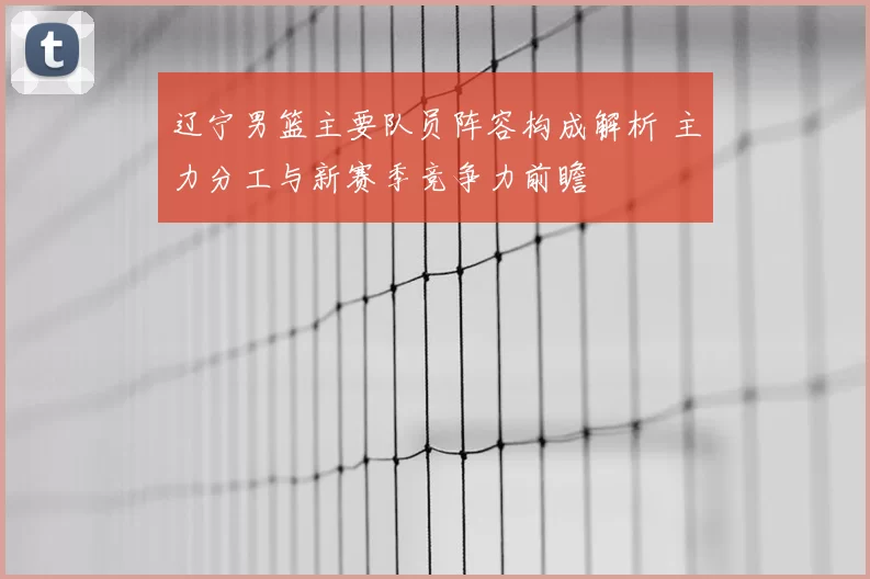 辽宁男篮主要队员阵容构成解析 主力分工与新赛季竞争力前瞻