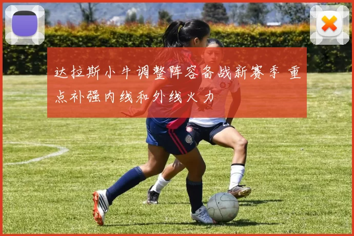 达拉斯小牛调整阵容备战新赛季 重点补强内线和外线火力
